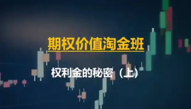 沈宗逸期权价值淘金班