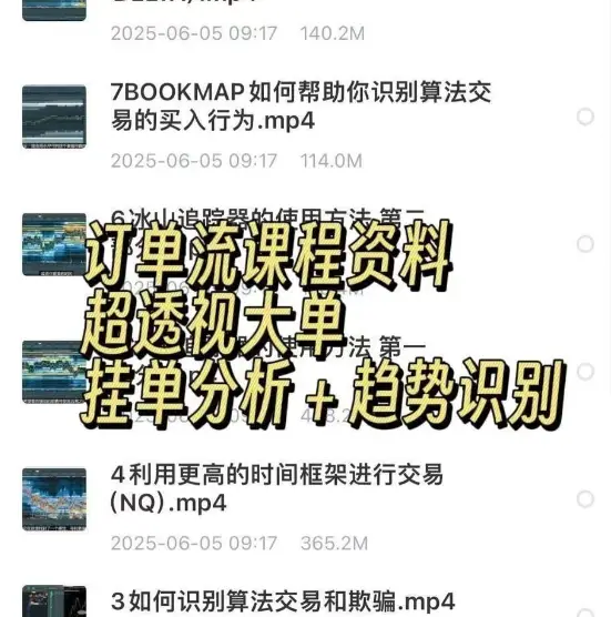 订单流课程 超透视大单 挂单分析+趋势识别