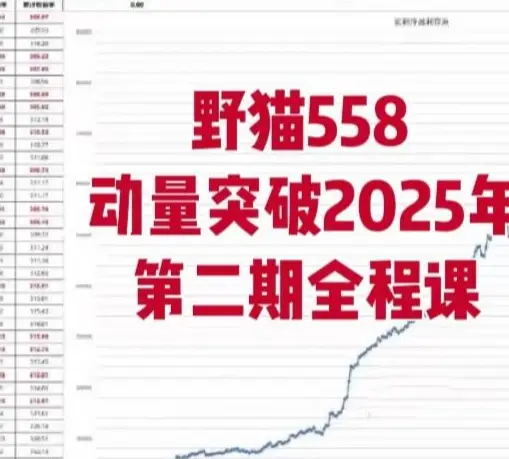 野猫558动量突破2025年第二期全程课