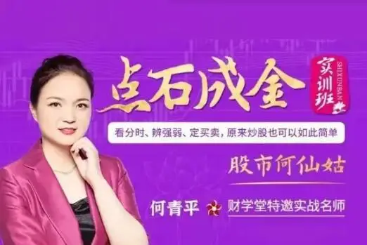 何仙姑何青平点石成金系统课