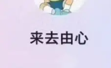 来去由心股票课程充电视频 2026