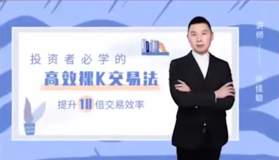 许佳聪《裸K线交易法》