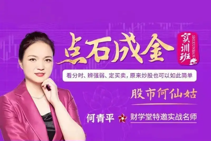 何仙姑何青平点石成金实训课