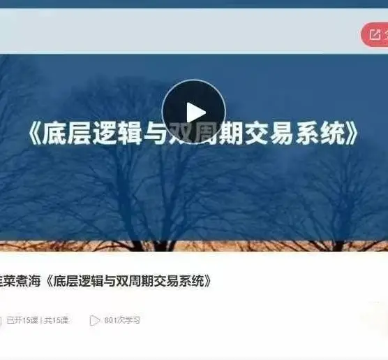 韭菜煮海《底层逻辑与双周期交易系统》