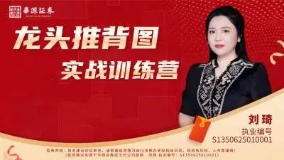 刘琦龙头推背图龙头掘金03期小班课