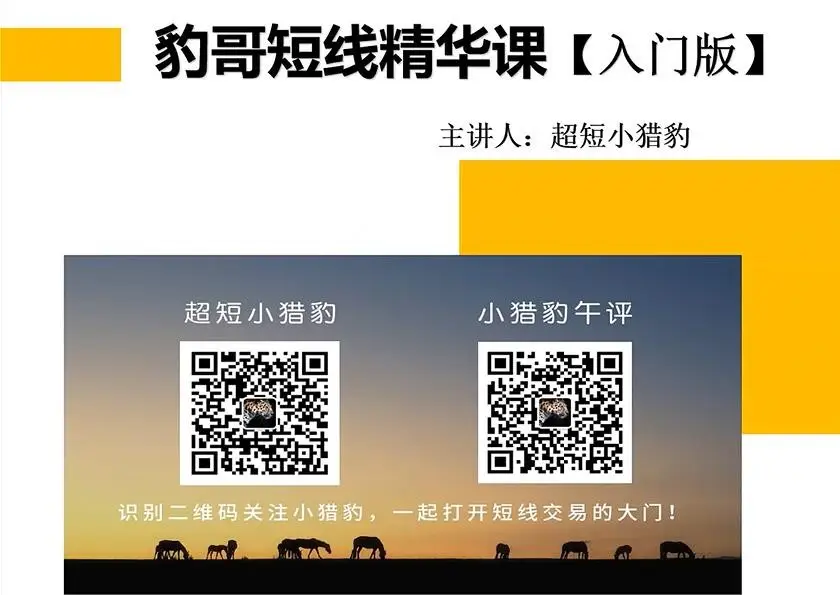 超短小猎豹-豹哥短线精华课入门版