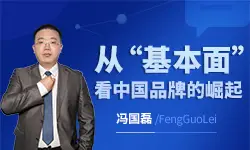 冯国磊《中国品牌的基本面分析一》系统课