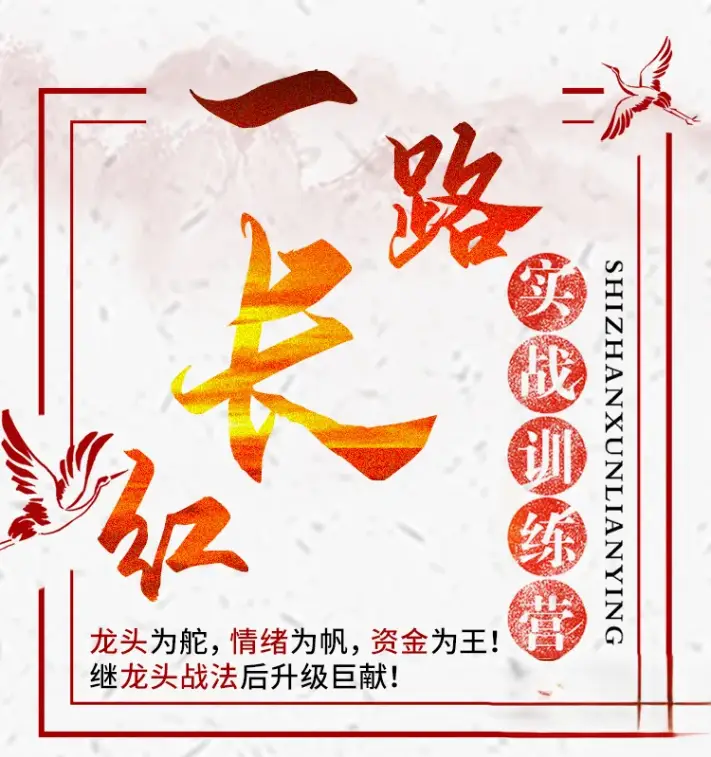 龙头缔造者：一路长红实战训练营