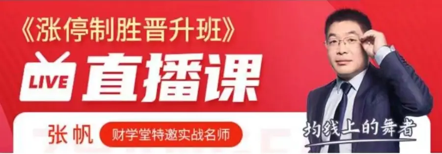 张帆涨停制胜晋升班精品小班课
