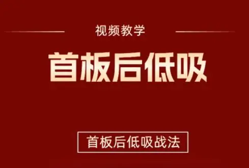【首板后低吸战法】视频+指标