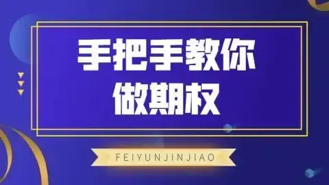 飞云金教《手把手教你做期权》